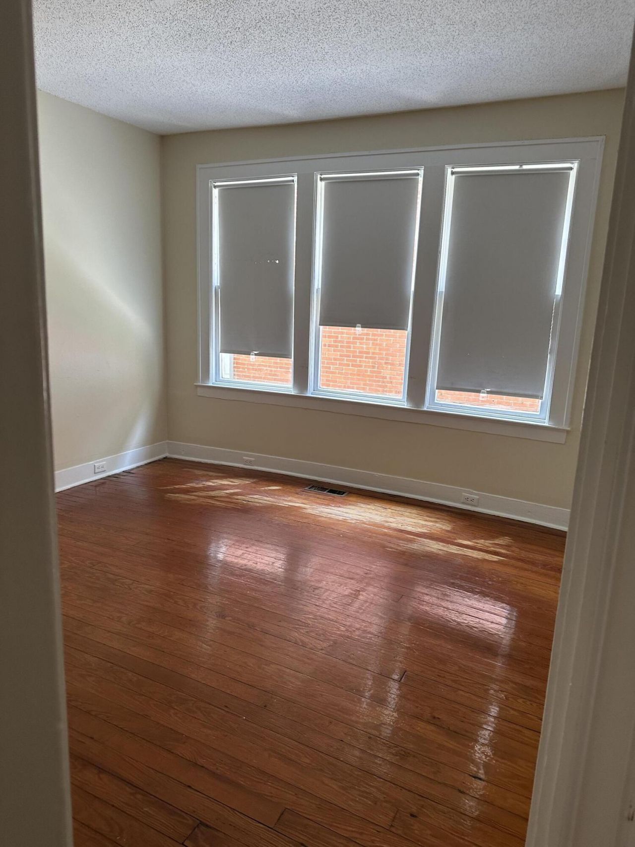 56 Laurens Street Photo 6