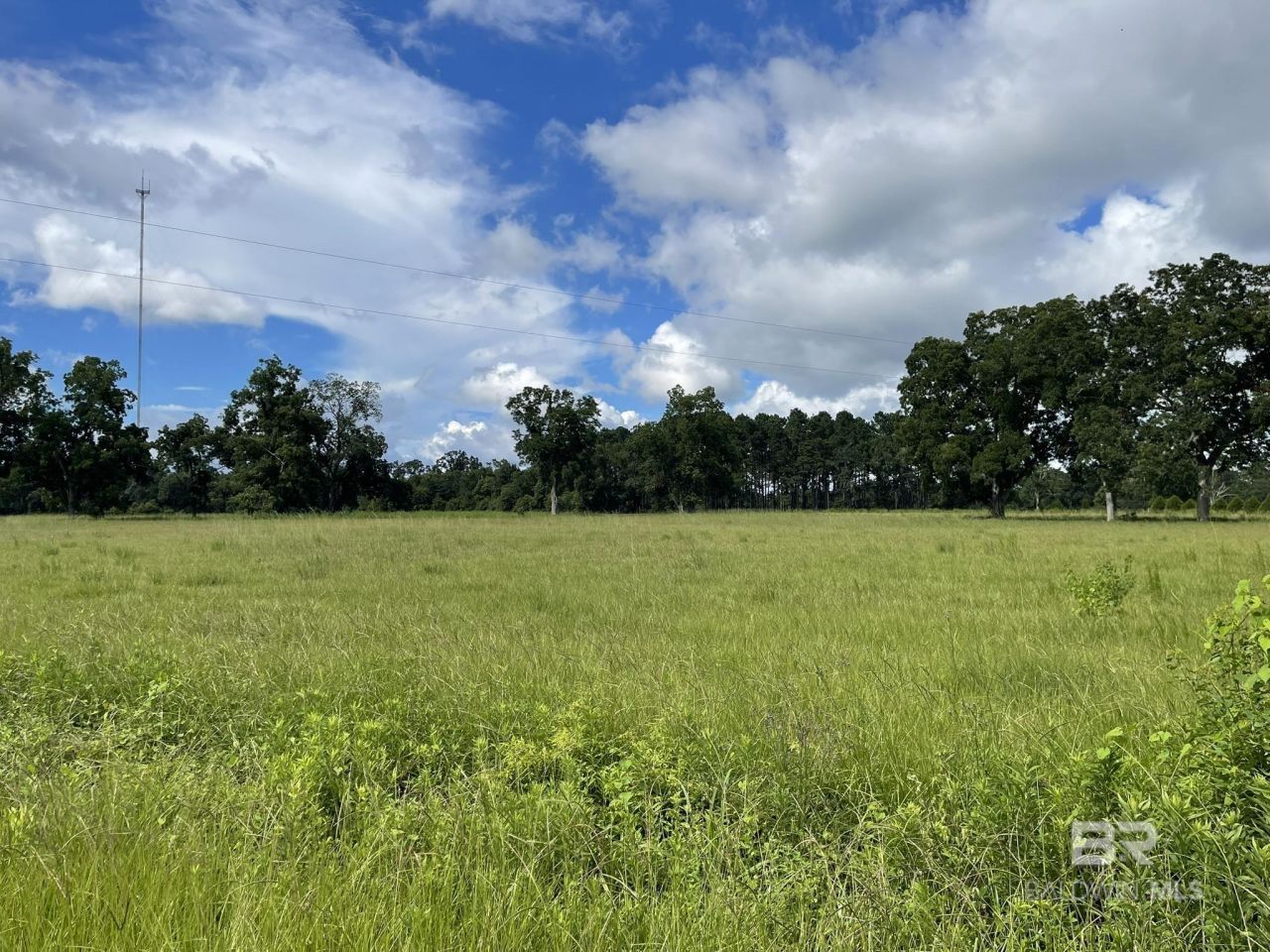 Lot 2 County Road 62, Robertsdale, AL 36567 Main Photo