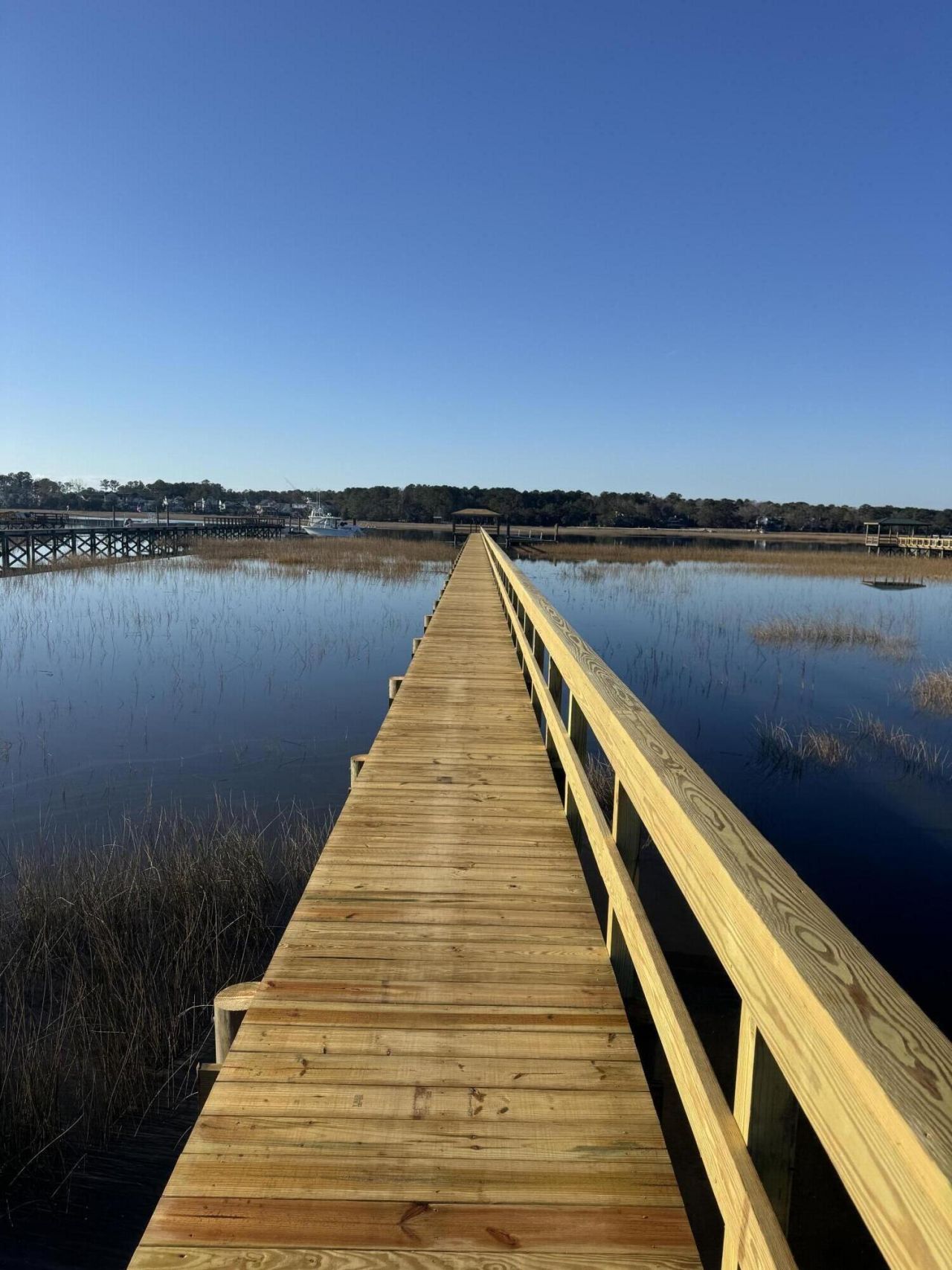 1434 Dupree Creek Drive Photo 53