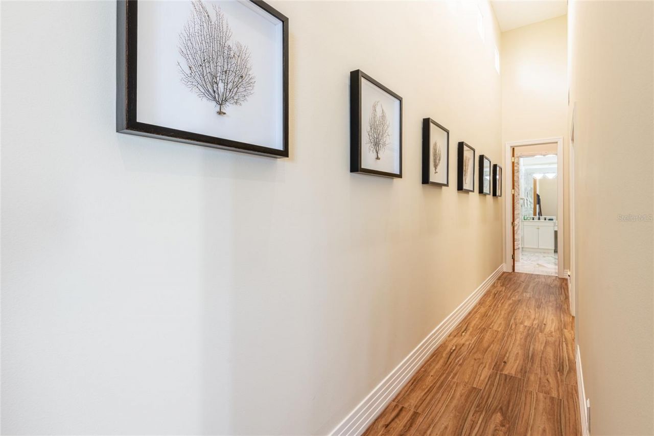 4703 Dolphin Cay Lane S, Saint Petersburg, FL 33711 Photo