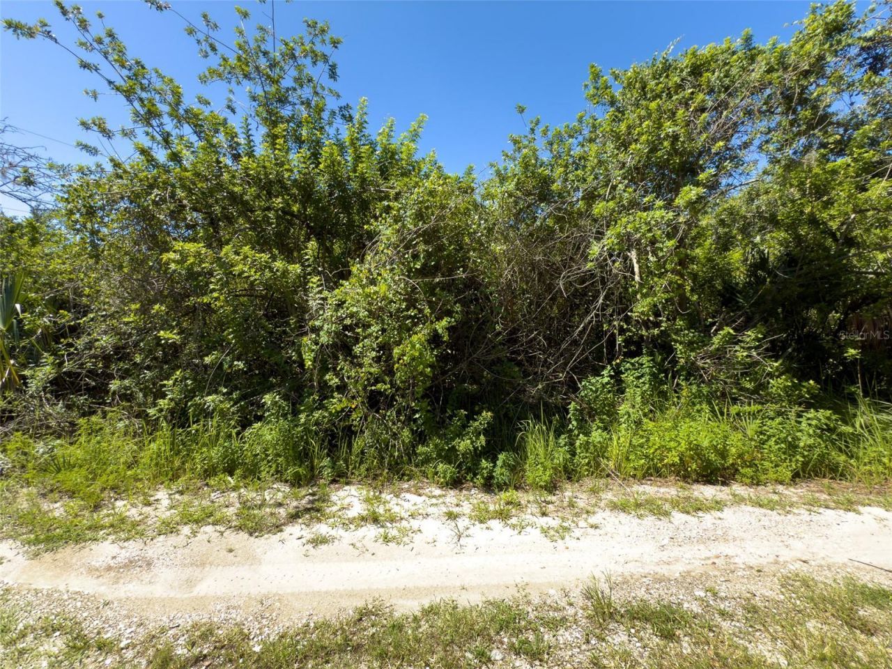 12020 Bullfrog Creek Road, Gibsonton, FL 33534 Photo