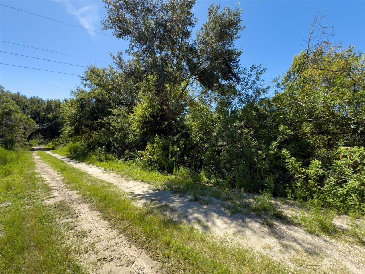 12020 Bullfrog Creek Road, Gibsonton, FL 33534 Photo