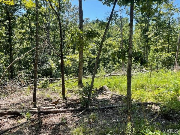000 County Road 456, Piedmont, MO 63957
