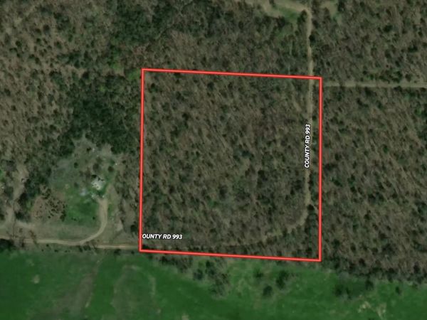 TBD CR 993, Green For., AR 72638