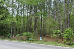 04 Mallard Road photo 4