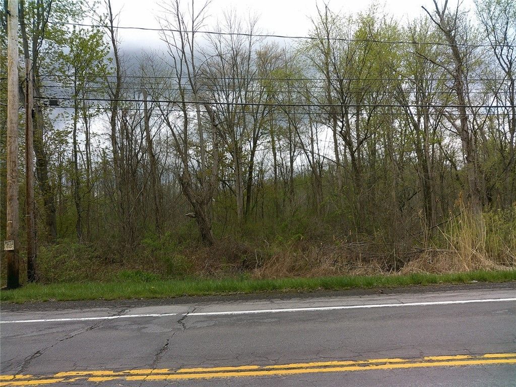 1919 N Union Street, Spencerport, NY 14559 Main Photo