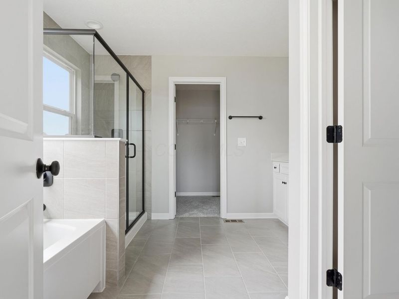 198 Silver Pine Lane, Lewis Center, OH 43035 Photo 30