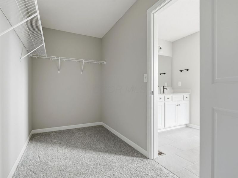 198 Silver Pine Lane, Lewis Center, OH 43035 Photo 34