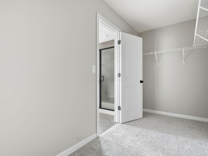 198 Silver Pine Lane, Lewis Center, OH 43035 Photo 35