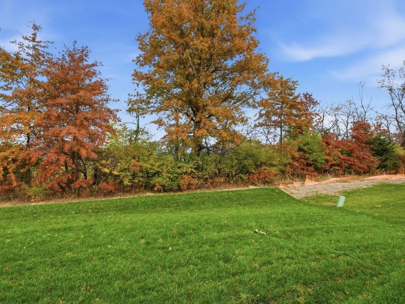 198 Silver Pine Lane, Lewis Center, OH 43035 Photo 45