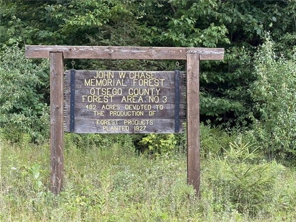 Van Cleef Road, Westford, NY 13488