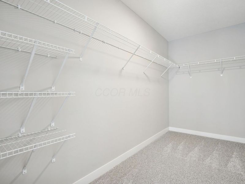 3068 Patricia Ann Way, Delaware, OH 43015 Photo 53