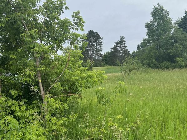 15040 North Street, Thompsonville, MI 49683