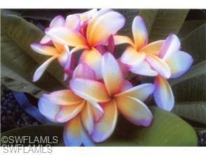 812 Palmetto Pointe Cir, Cape Coral, FL 33991 Photo