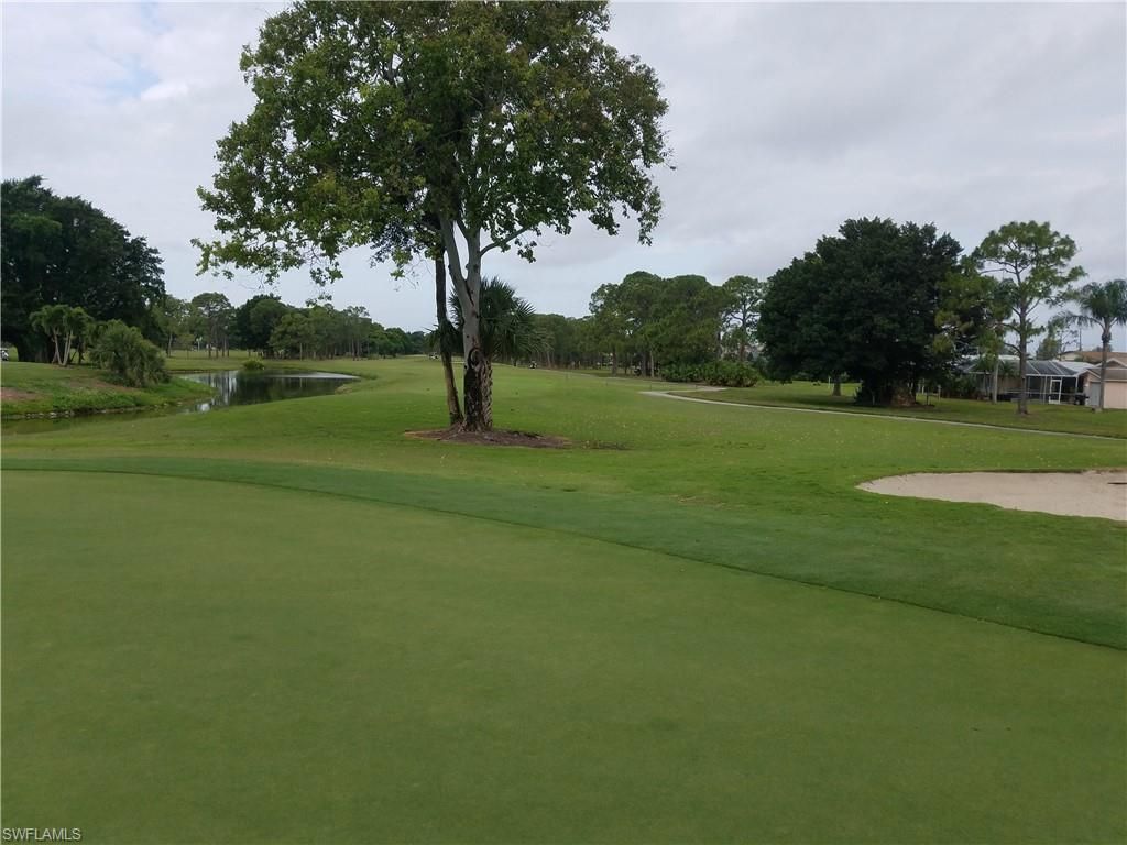 812 Palmetto Pointe Cir, Cape Coral, FL 33991 Photo