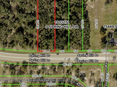 15389 SPRING HILL DRIVE, BROOKSVILLE, FL 34604