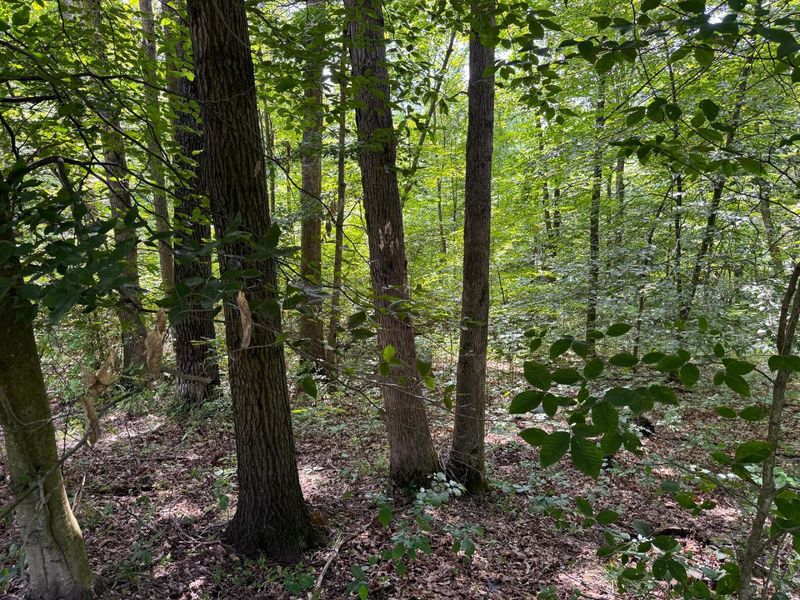 16487 Flint Ridge Rd Street NE, Unit (Lot L Woo, Newark, OH 43055 Photo 10