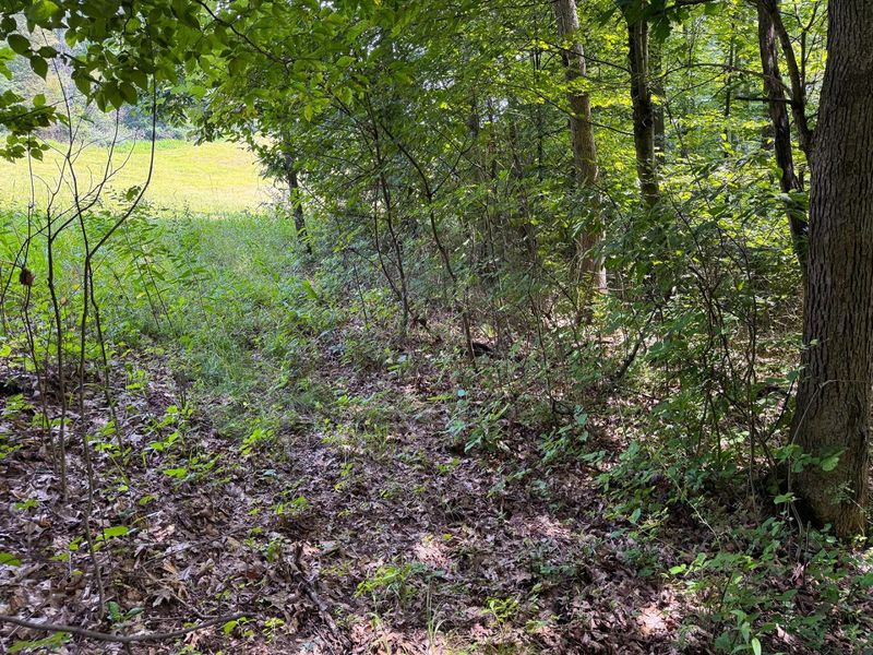 16487 Flint Ridge Rd Street NE, Unit (Lot L Woo, Newark, OH 43055 Photo 12