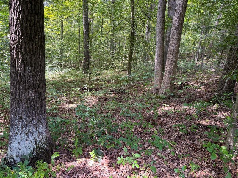 16487 Flint Ridge Rd Street NE, Unit (Lot L Woo, Newark, OH 43055 Photo 13