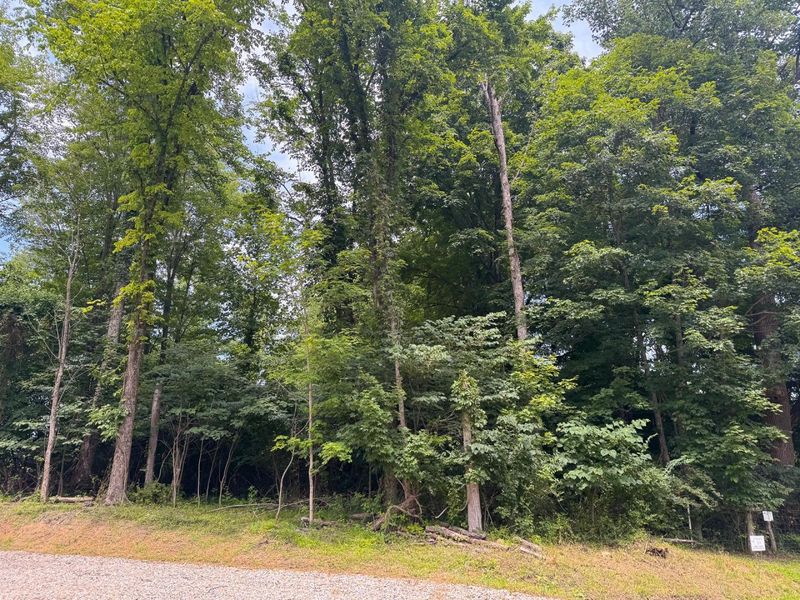 16487 Flint Ridge Rd Street NE, Unit (Lot L Woo, Newark, OH 43055 Photo 17