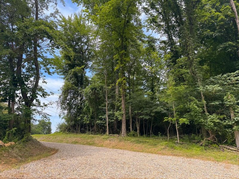 16487 Flint Ridge Rd Street NE, Unit (Lot L Woo, Newark, OH 43055 Photo 18