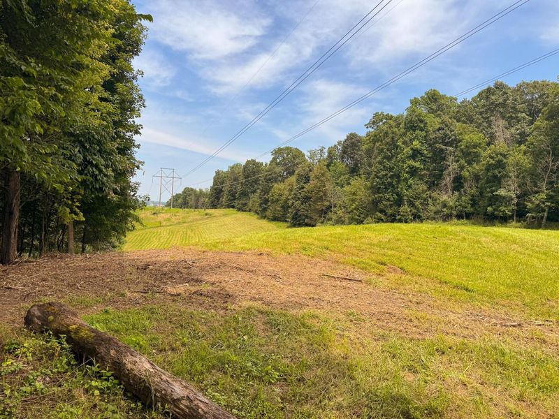 16487 Flint Ridge Rd Street NE, Unit (Lot L Woo, Newark, OH 43055 Photo 19