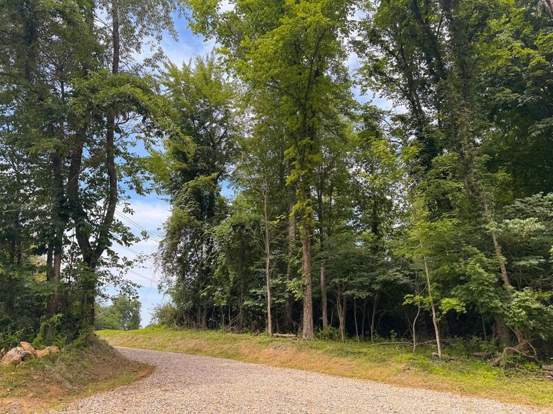 16487 Flint Ridge Rd Street NE, Unit (Lot L Woo, Newark, OH 43055 Photo 2