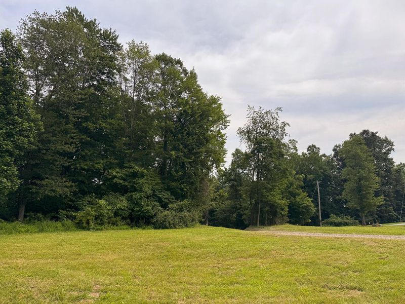 16487 Flint Ridge Rd Street NE, Unit (Lot L Woo, Newark, OH 43055 Photo 24