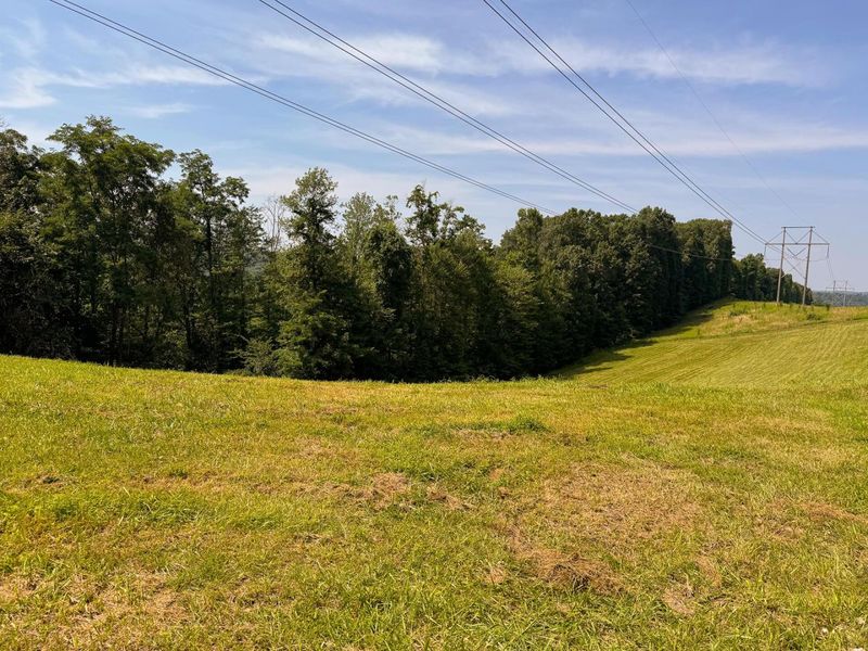 16487 Flint Ridge Rd Street NE, Unit (Lot L Woo, Newark, OH 43055 Photo 28