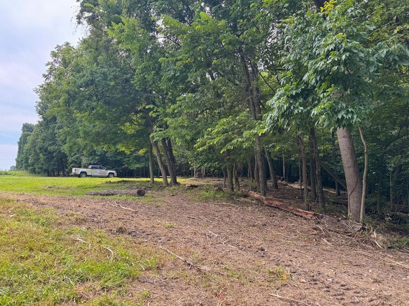 16487 Flint Ridge Rd Street NE, Unit (Lot L Woo, Newark, OH 43055 Photo 3