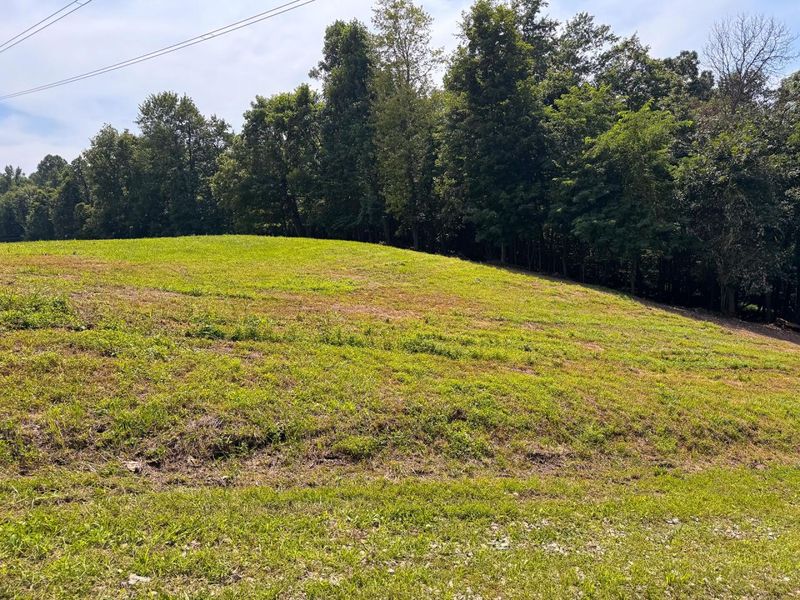 16487 Flint Ridge Rd Street NE, Unit (Lot L Woo, Newark, OH 43055 Photo 30