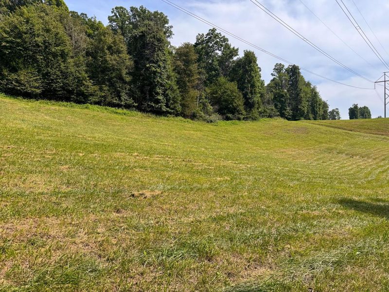 16487 Flint Ridge Rd Street NE, Unit (Lot L Woo, Newark, OH 43055 Photo 36