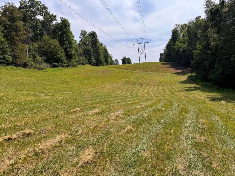 16487 Flint Ridge Rd Street NE, Unit (Lot L Woo, Newark, OH 43055 Photo 37