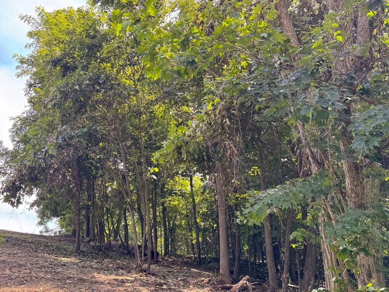 16487 Flint Ridge Rd Street NE, Unit (Lot L Woo, Newark, OH 43055 Photo 38