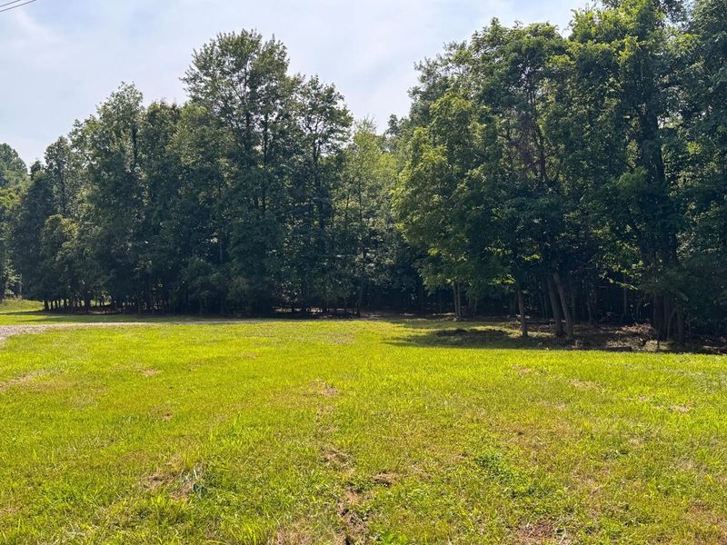 16487 Flint Ridge Rd Street NE, Unit (Lot L Woo, Newark, OH 43055 Photo 39