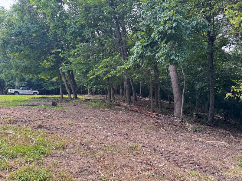 16487 Flint Ridge Rd Street NE, Unit (Lot L Woo, Newark, OH 43055 Photo 4