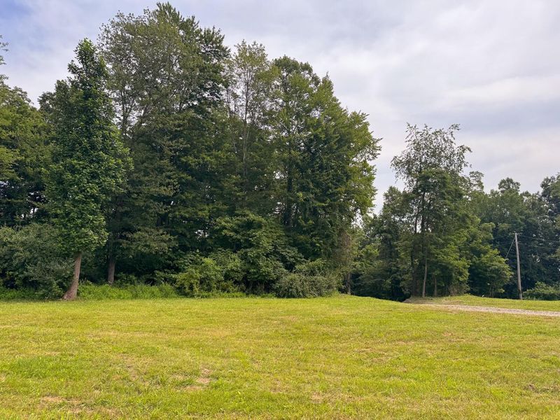 16487 Flint Ridge Rd Street NE, Unit (Lot L Woo, Newark, OH 43055 Photo 5