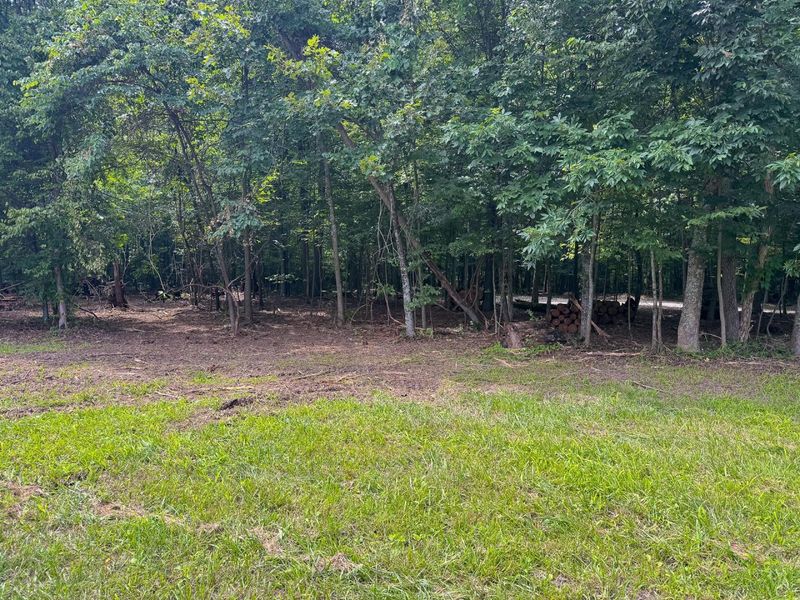 16487 Flint Ridge Rd Street NE, Unit (Lot L Woo, Newark, OH 43055 Photo 8