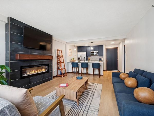 433 S 7th Street, Unit 1919, Minneapolis, MN 55415