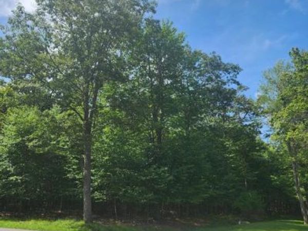 Lot 53 MOUNTAINVIEW DRIVE, OAKLAND, MD 21550