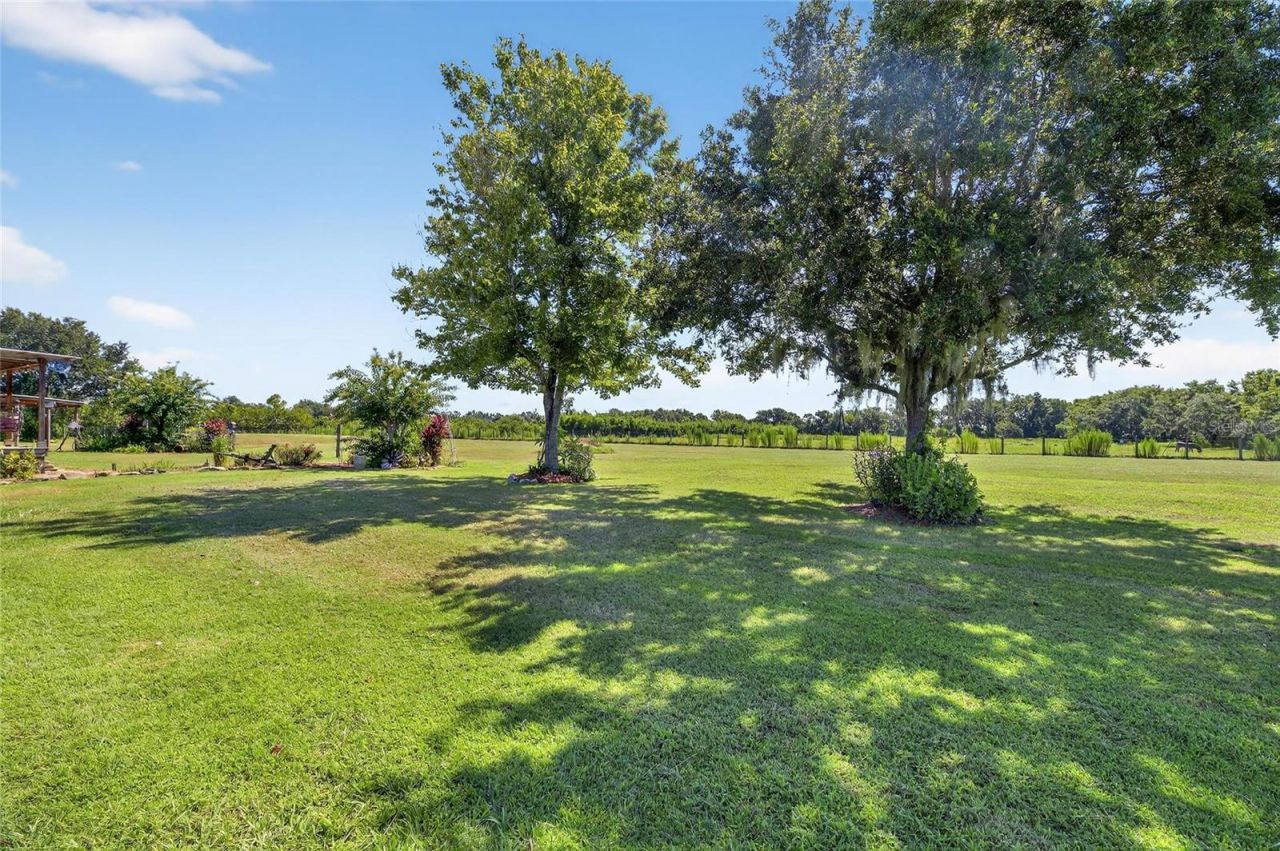 4416 Pippin Road, Plant City, FL 33567 Photo