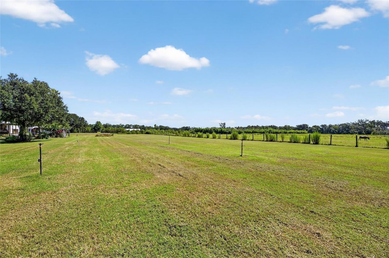 4416 Pippin Road, Plant City, FL 33567 Photo