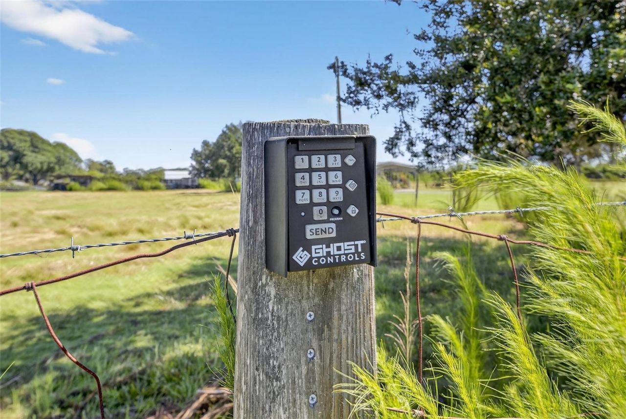 4416 Pippin Road, Plant City, FL 33567 Photo