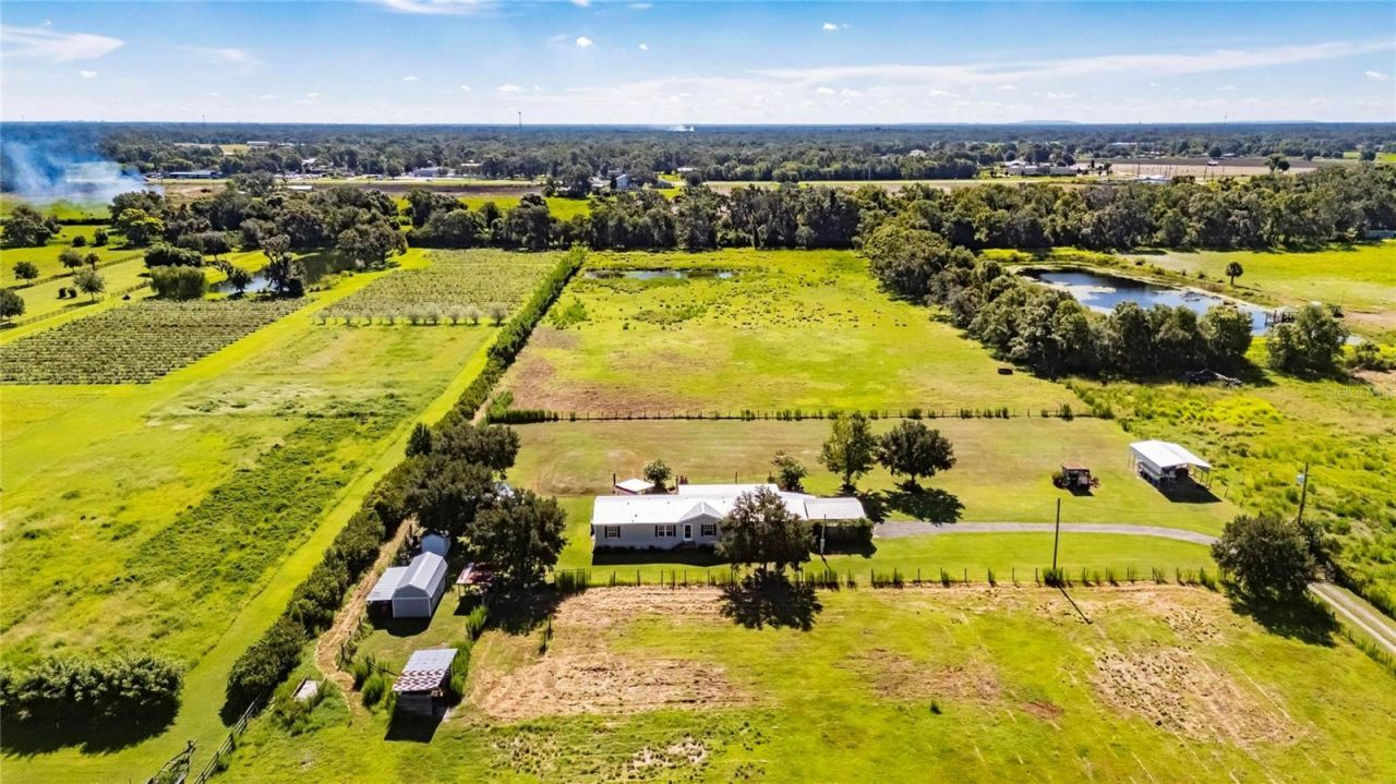 4416 Pippin Road, Plant City, FL 33567 Photo