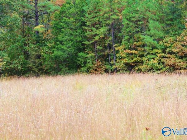 3753 S Woodtrail SW, Decatur, AL 35603