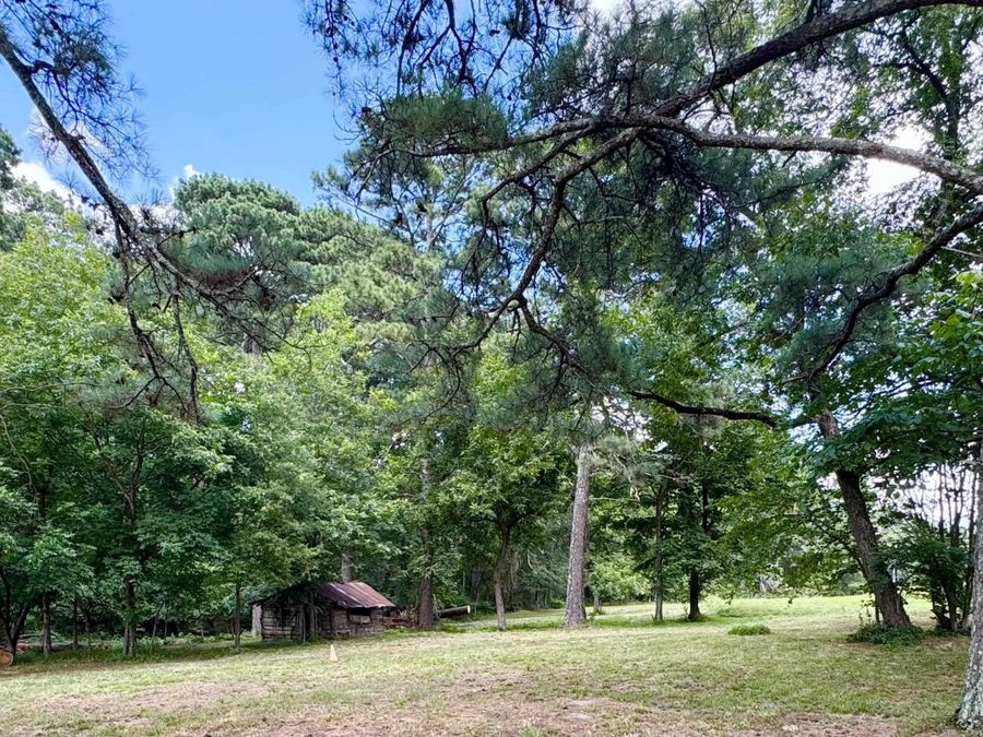 Property Image 45