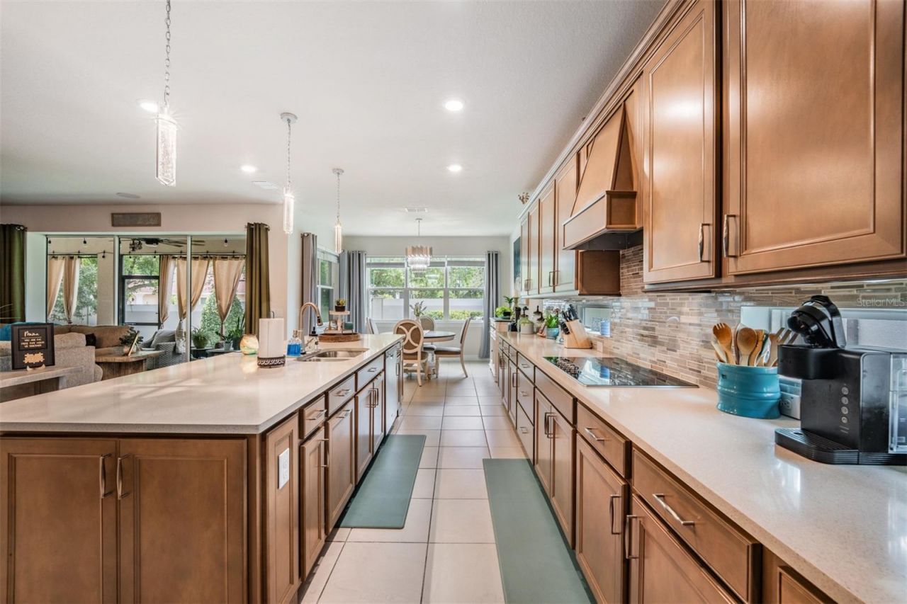 2836 Buckhorn Forest Drive, Valrico, FL 33594 Photo