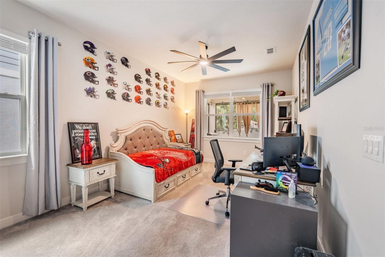 2836 Buckhorn Forest Drive, Valrico, FL 33594 Photo