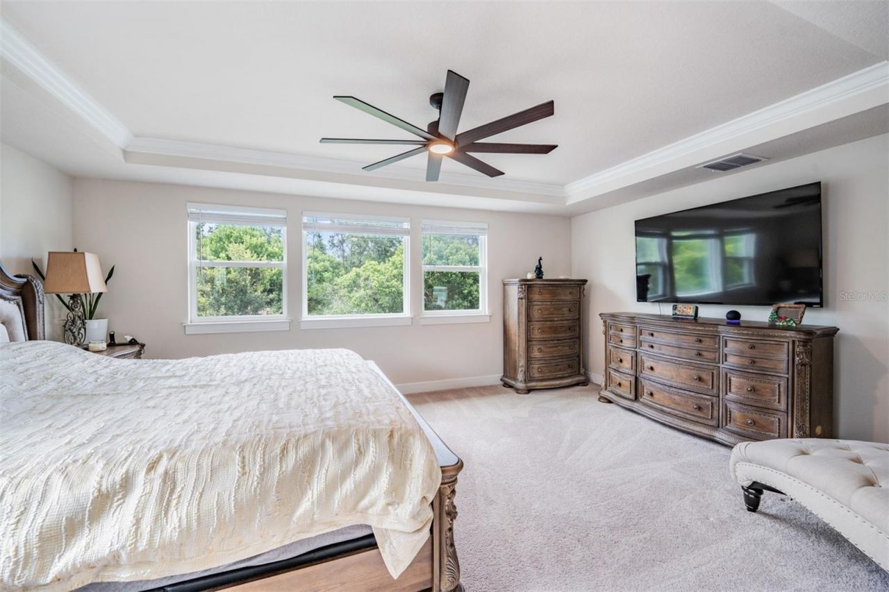 2836 Buckhorn Forest Drive, Valrico, FL 33594 Photo