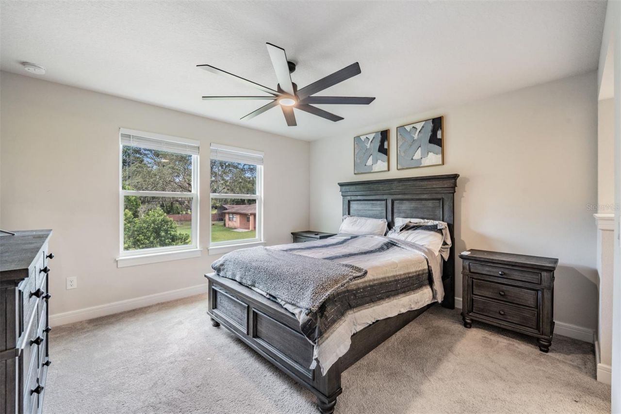 2836 Buckhorn Forest Drive, Valrico, FL 33594 Photo